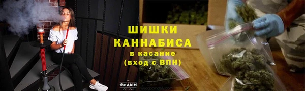 крисы Елабуга