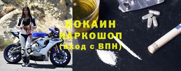 стаф Елизово