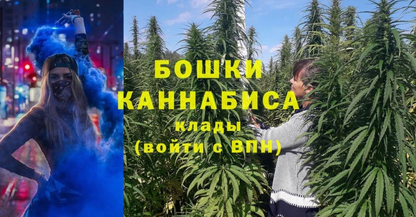 стаф Елизово