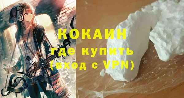 бошки Ельня