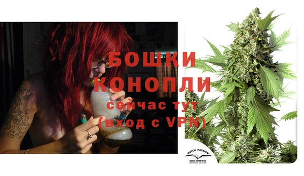крисы Елабуга