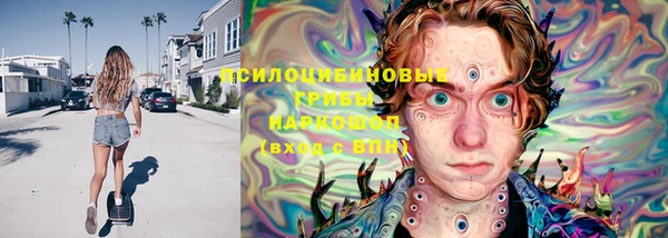 бошки Ельня