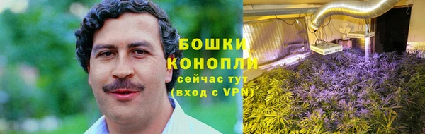 стаф Елизово